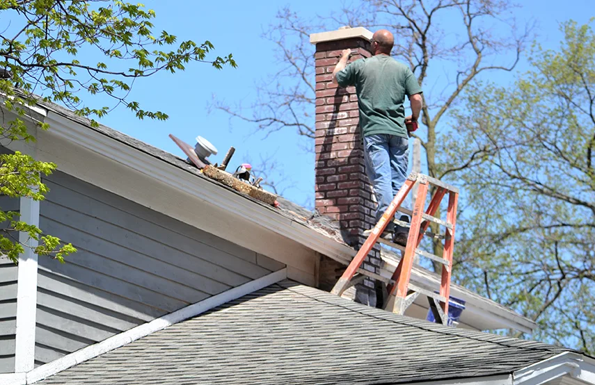 Chimney & Fireplace Inspections Services in Lakeville, MN